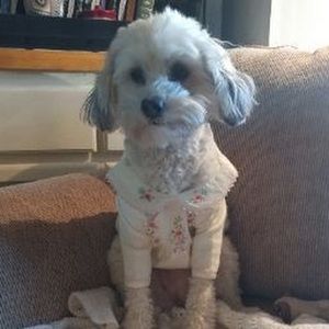 Meet your Posher, Rin